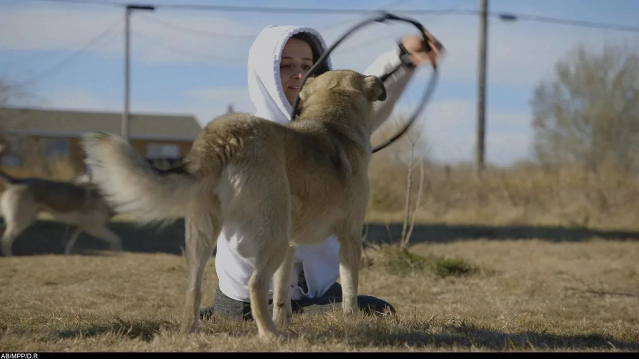 Le refuge Dog Tales — PickxPlusF.be 08:10