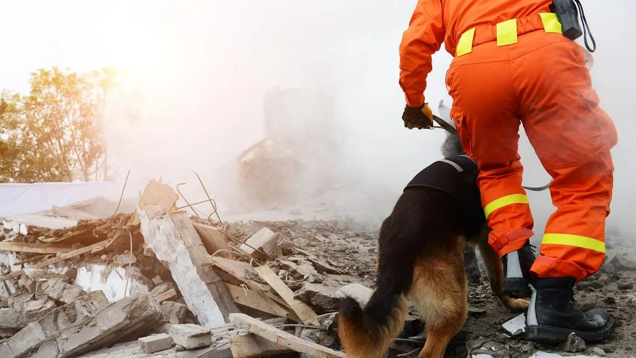 Profession Criminel - LN24