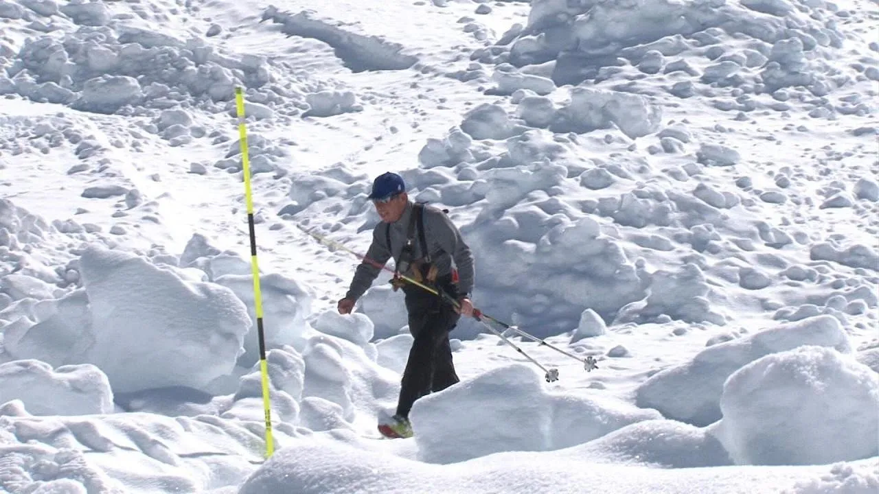 Les sciences de la neige