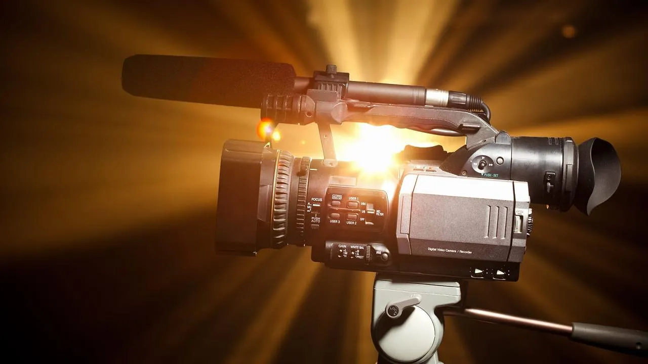 Modèle animal — BipTV.fr 15:44