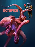 Octopus!