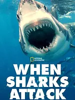 When Sharks attack...