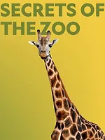 Au cœur du zoo