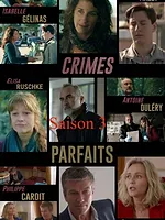 Crimes parfaits