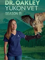 Michelle ou la vie sauvage