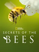 Les Secrets des abeilles