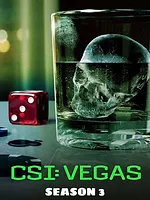 Les Experts : Las Vegas