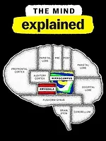 Le Cerveau, en bref