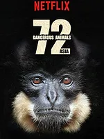 72 animaux dangereux en Asie
