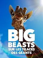 Big Beasts : sur les traces des géants