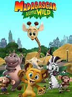 Madagascar : La savane en délire