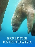 Expédition Pairi Daiza