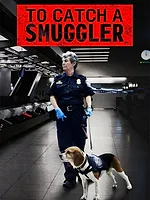 Ultimate Airport USA