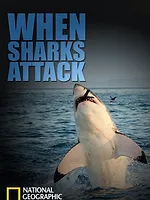 When Sharks attack...
