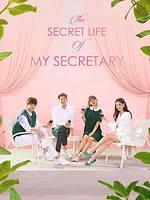 The Secret Life of My Secretary