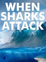 When Sharks attack...