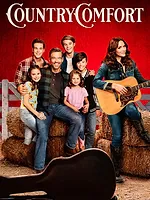 La country-sitter