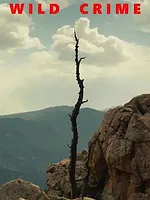 Wild Crime