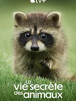 La Vie secrète des animaux