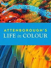 La Vie en couleurs avec David Attenborough