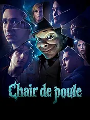 Chair de poule