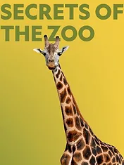 Au cœur du zoo