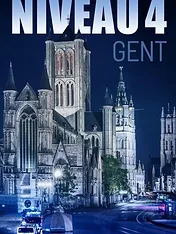 Niveau 4