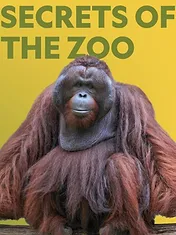 Au cœur du zoo