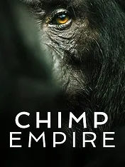 L'Empire des chimpanzés
