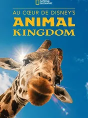 Au cœur de Disney's Animal Kingdom