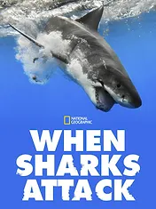 When Sharks attack...