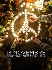 13 novembre : Fluctuat nec mergitur