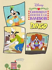 Comment rester à la maison avec Dingo