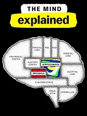 Le Cerveau, en bref