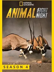 Animal Fight Night