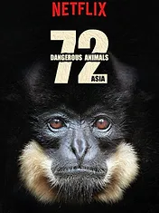 72 animaux dangereux en Asie