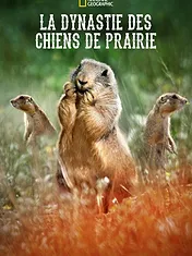 Prairie Dog Manor