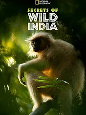 Destination Wild : L'Inde à l'état sauvage