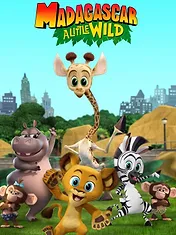 Madagascar : La savane en délire