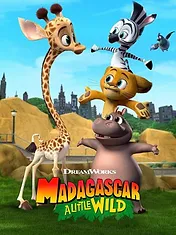 Madagascar : La savane en délire
