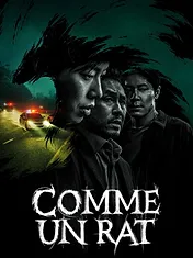 Comme un rat