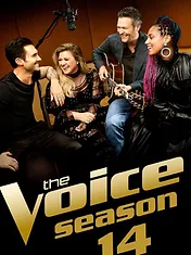 The Voice (États-Unis)
