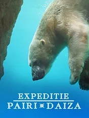 Expédition Pairi Daiza