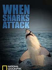 When Sharks attack...