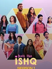 Feels Like Ishq
