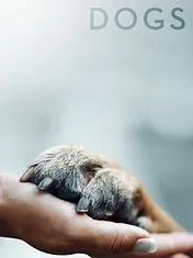 Nos amis les chiens
