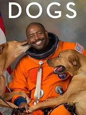 Nos amis les chiens