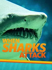 When Sharks attack...