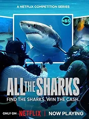 All the Sharks : Trouvez-les tous !