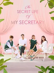 The Secret Life of My Secretary